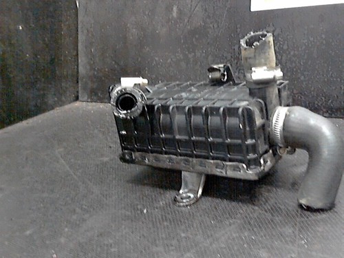 Radiatore olio bmw - radiatore,