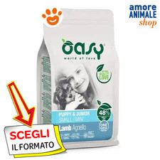 Oasy Dog Puppy e Junior