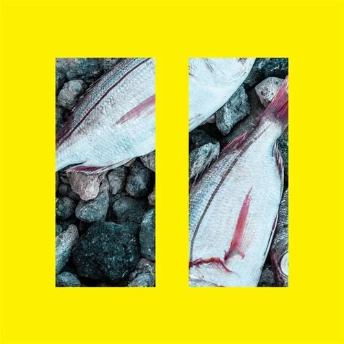 Mpt plattner trio - -, ii