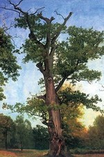 Poster Stampa Pionieri della