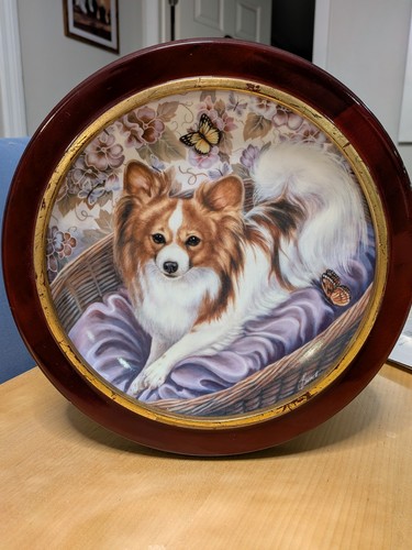 Piatto cane papillon - piatto,
