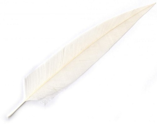 Penna bianca per cappello - per,