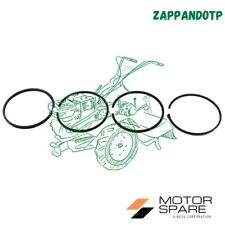 SERIE SEGMENTI RUGGERINI RD/RF