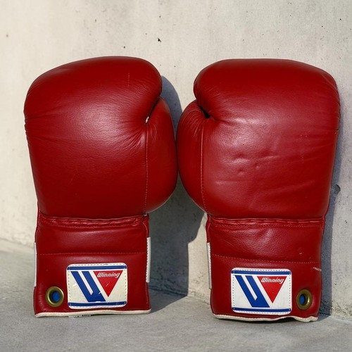 Guantoni boxe vincenti - da,