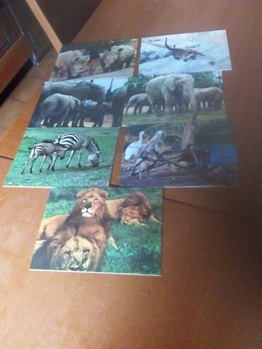 Lotto cartoline formato - 7,
