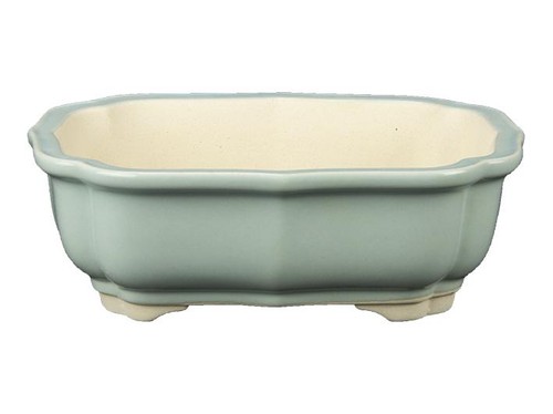 Vaso per bonsai ovale - , in