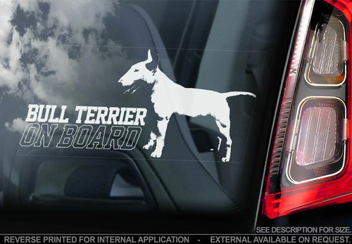 English bull terrier car - bull,