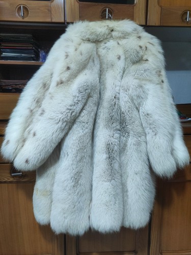 Pelliccia volpe bianca - volpe,