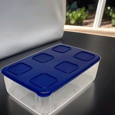Tupperware Contenitore Clear