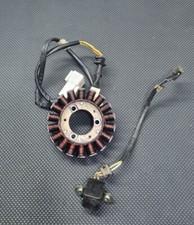 STATORE MAGNETE PICK-UP