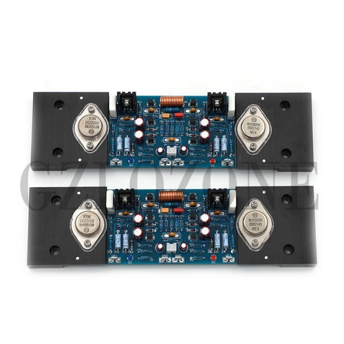 2pcs scheda amplificatore 20w - 2pcs,