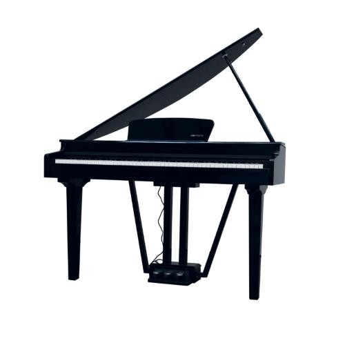Echord gp10b pianoforte - echord,