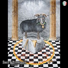 Arte Contemporanea Natura Animali Pecora Nera Pittura Dipinto Arte Amira Artista