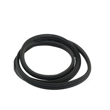 GUARNIZIONE INTERNA PORTA POST SINISTRA RENAULT CLIO (2009) 1.2 BENZINA 55KW 5P