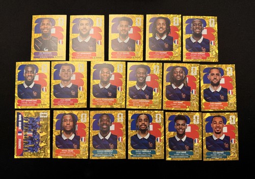 Francia 17x gold crumple - gold, 2026