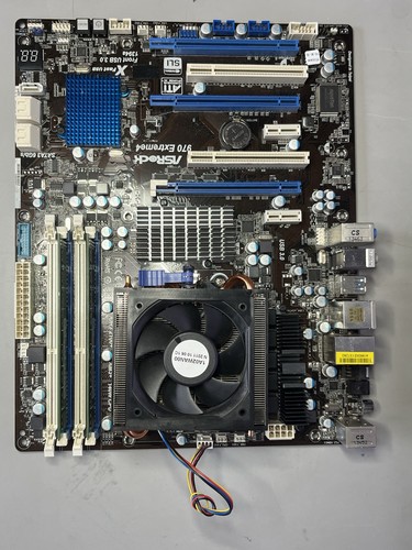 Scheda madre asrock - madre,