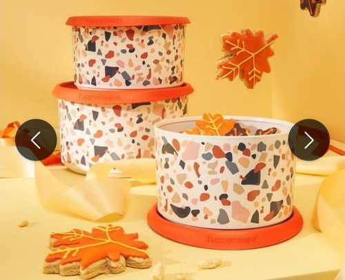 Set ciotole decorate - ciotole,