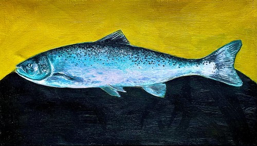 Quadro lasis - "lasis", (salmone)