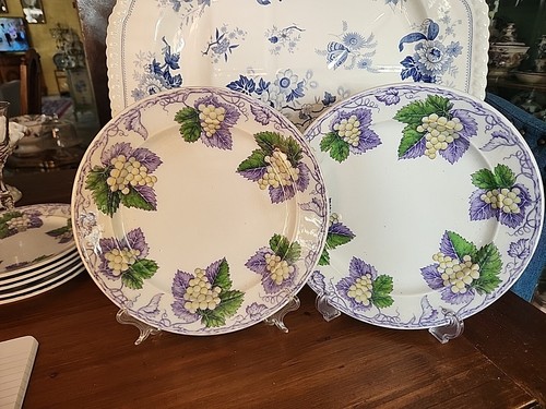 Rari piatti gelso lavanda - piatti,