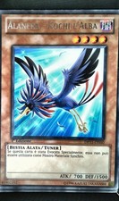 YGO ALANERA - KOCHI L'ALBA -