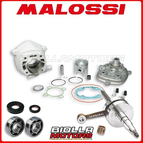 Maxikit malossi mhr replica - malossi,