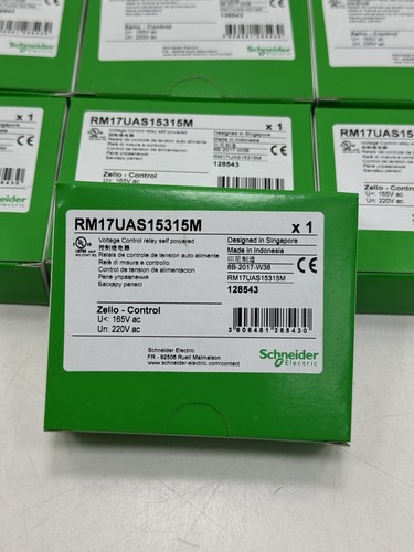 Schneider rm17uas15315m zelio - rm17uas15315m,
