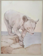 DETMOLD BEAR CUB stampa