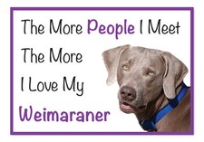 The More I Love My Weimaraner