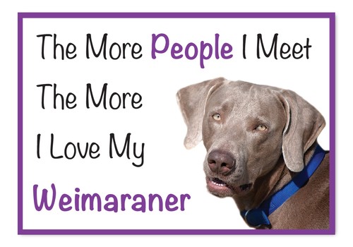 The more love weimaraner - i, my