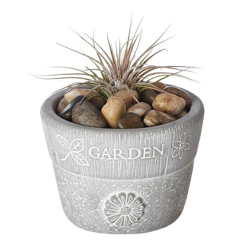 Vaso giardino cemento - in,
