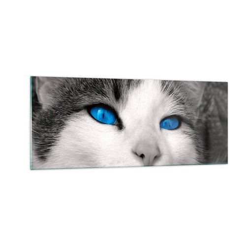 Quadro vetro 100x40cm gatto - su,