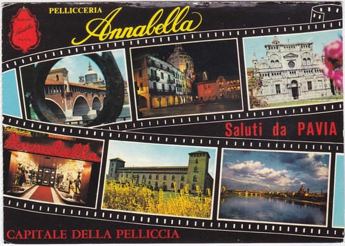 Pavia saluti - saluti,