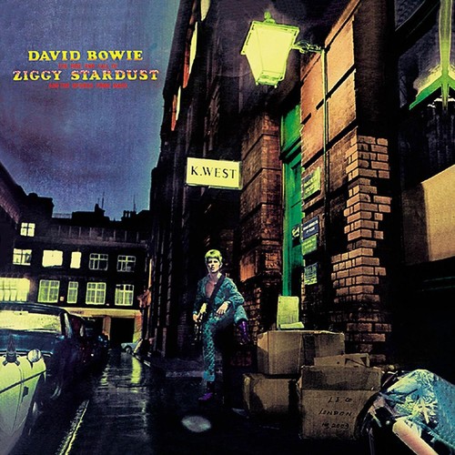 David bowie the rise and - the,