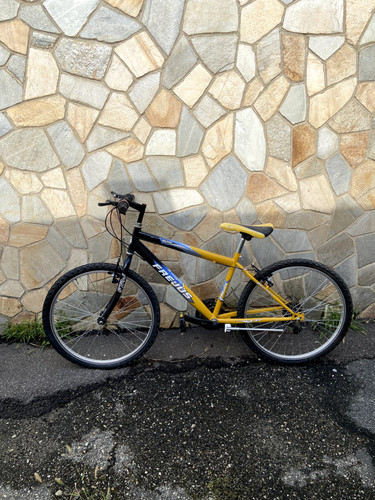 Bici mtb frejus - bici,