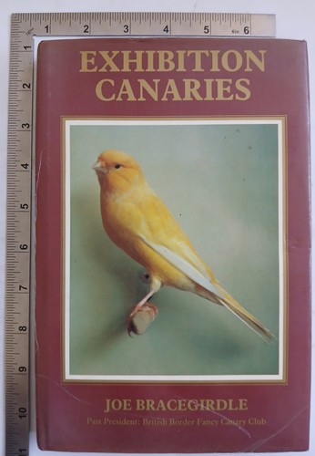 Exhibition canaries joe - canaries,
