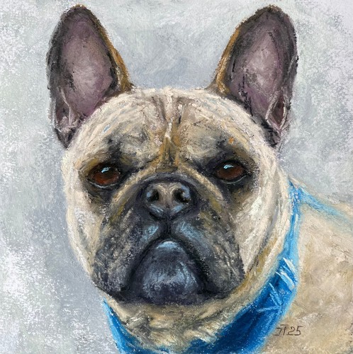 Bulldog francese dipinto