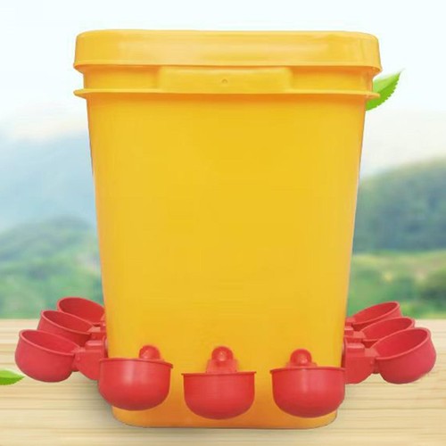 Abbeveratoio per pollo - abbeveratoio,