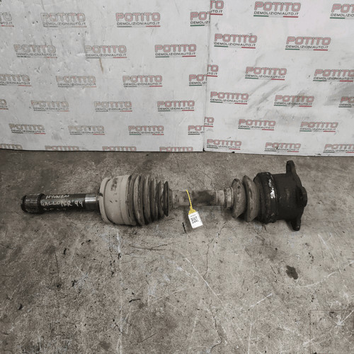 Hr204000 semialbero ant - semialbero,