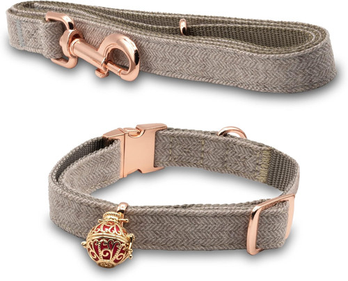 Collare cane con guinzaglio - collare,