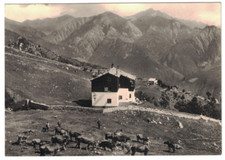 Lecco GRIGNA SETTENTRIONALE-BAITA AMALIA PASTURO-piccola viaggiata 1963 RARA