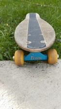 Penny Board Skateboard