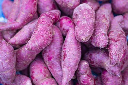 Organic fresh japanese purple - japanese,