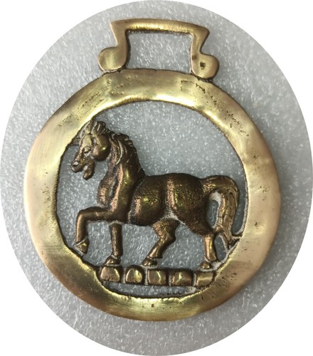 Trotting horse cavallo in - horse,