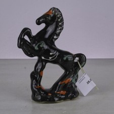 Cavallino anni in - anni,