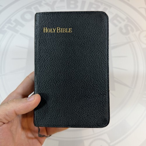 Holy bible illustrated king - holy,