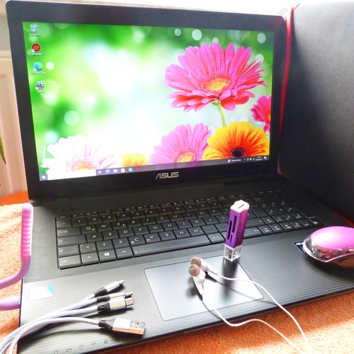 Asus x75 pollici icecool - asus, 17