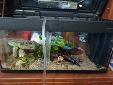 acquario completo usato da 90 litri compreso di tutti gli oggetti e accessori