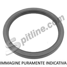 PARAOLIO POSTERIORE ALBERO