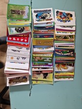 Amici Cucciolotti 2026 166