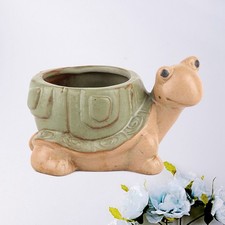 Vaso Di Fiori Dei Cartoni